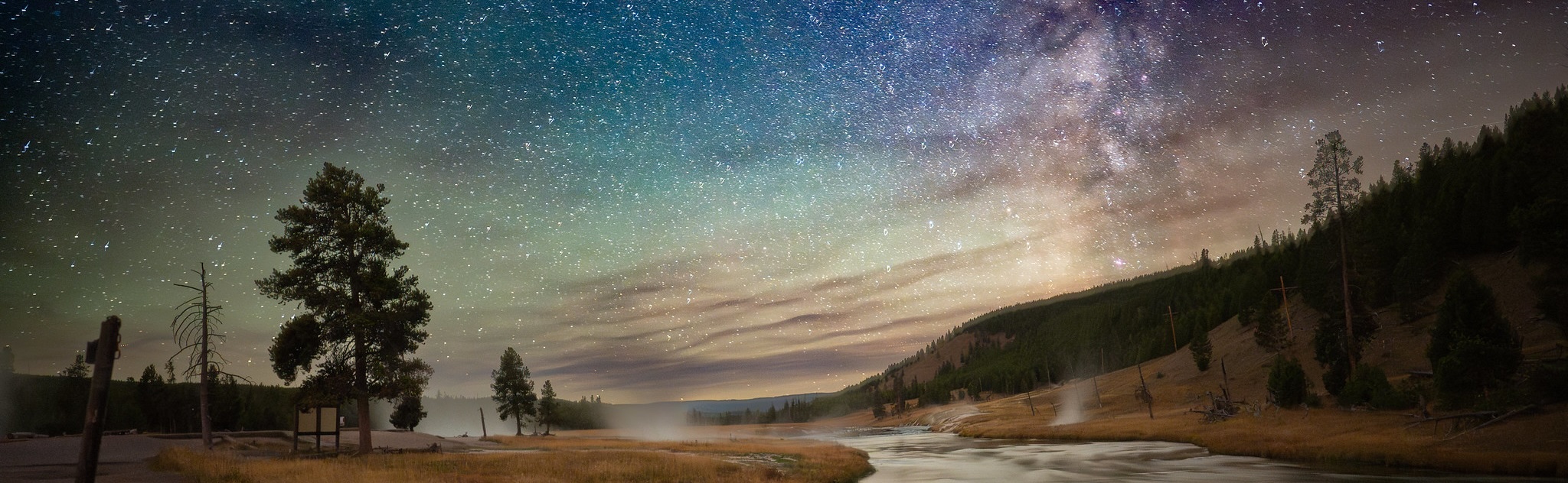 A star-filled night sky over a river and pine forest